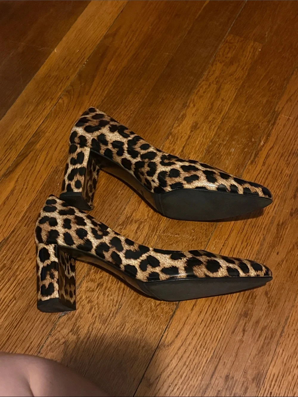 Vaneli Leopard-Print Pointed Toe Pumps in Black and Brown